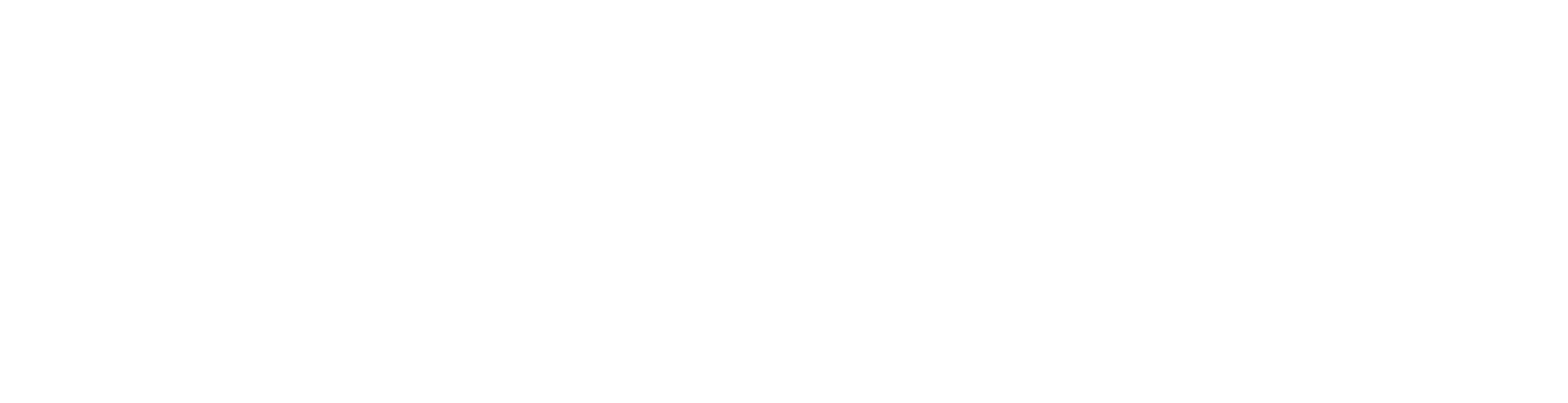 Innovation Pioneers